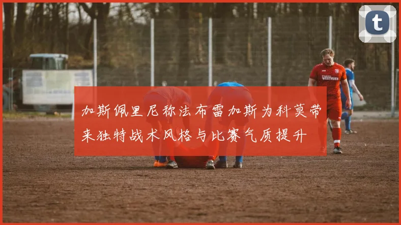 加斯佩里尼称法布雷加斯为科莫带来独特战术风格与比赛气质提升