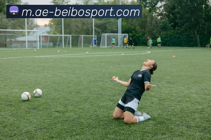 多媒体互动体验