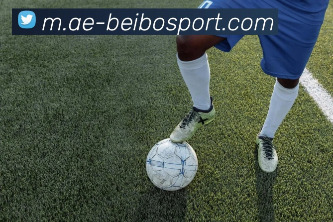 贝博足球APP 体育赛事宣传图